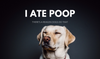 Eat'n Poo - Ugh!  Why dogs do it.