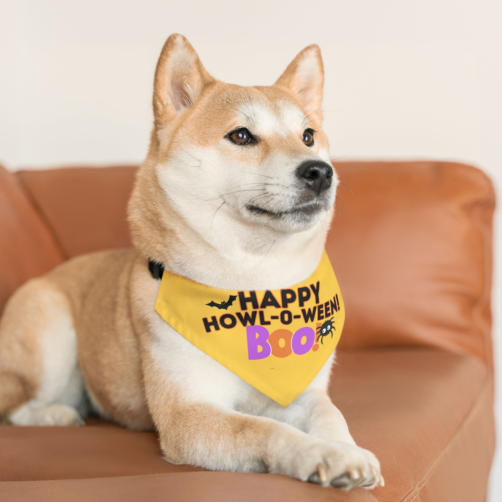 Happy Halloween Pet Bandana Collar