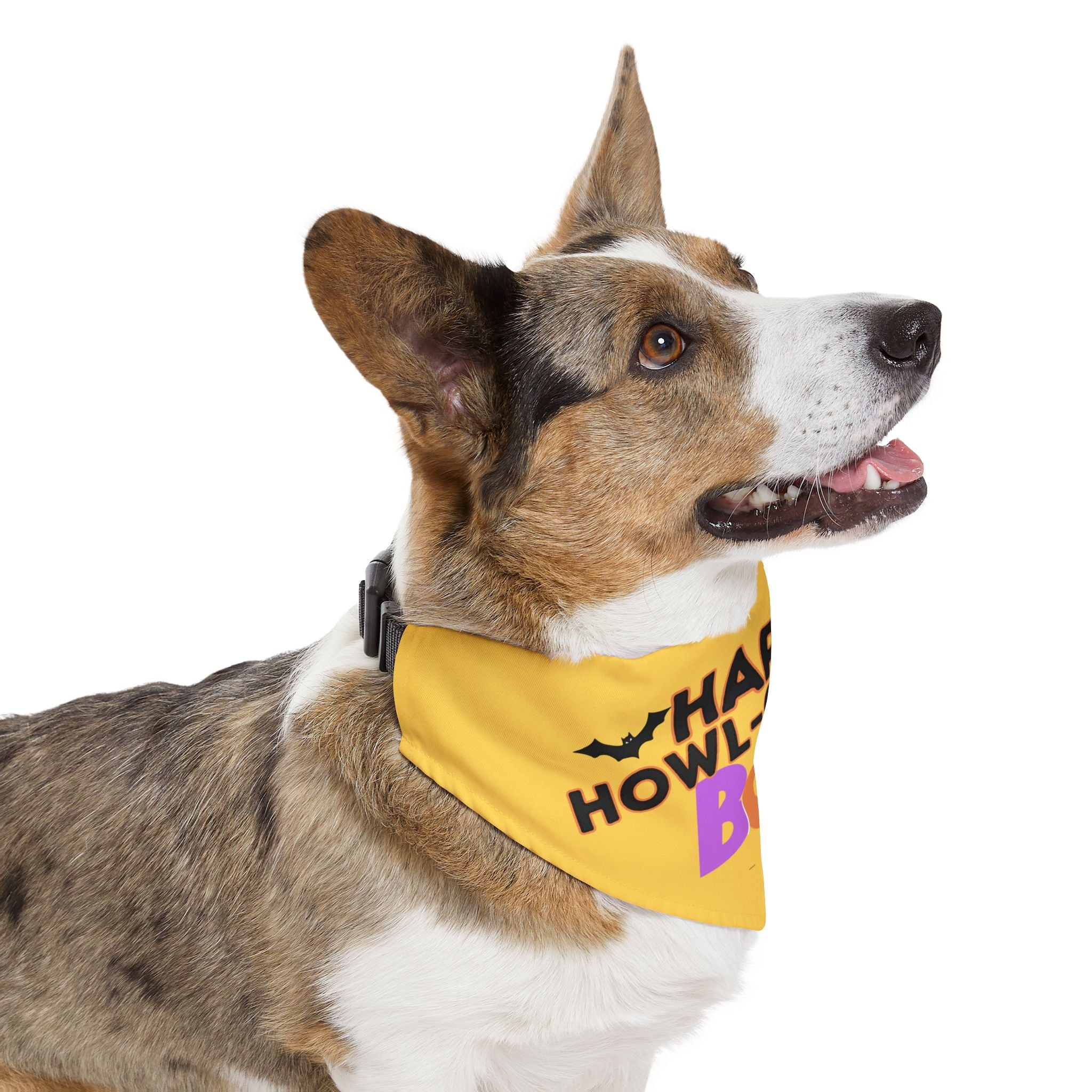Happy Halloween Pet Bandana Collar