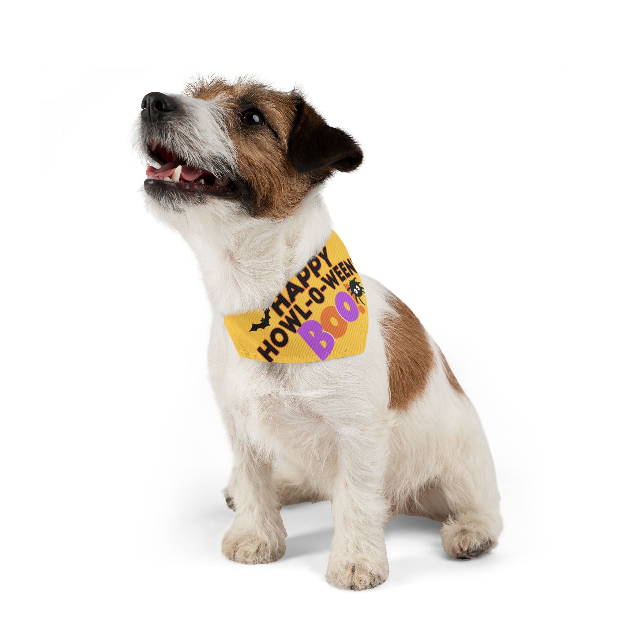 Happy Halloween Pet Bandana Collar