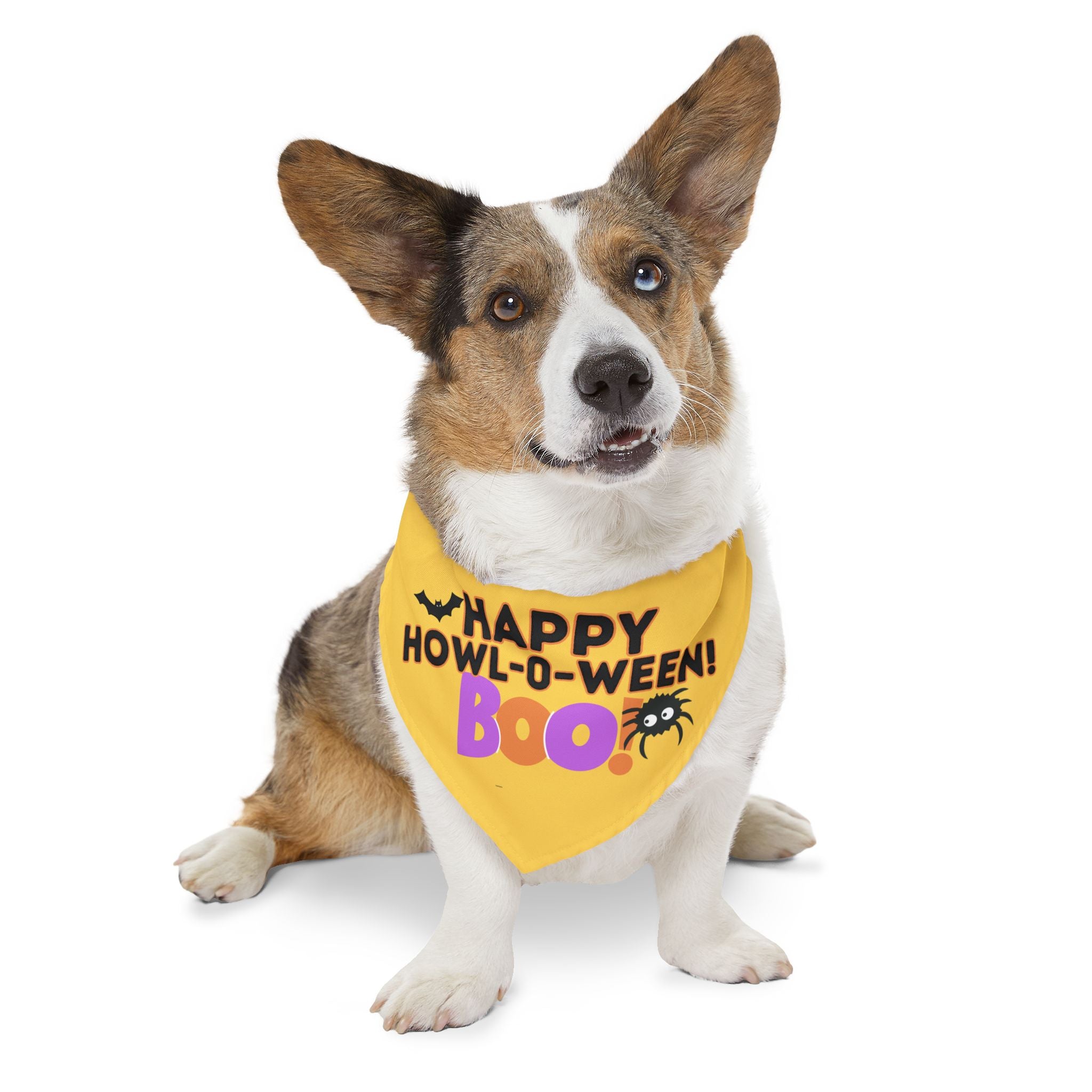 Happy Halloween Pet Bandana Collar