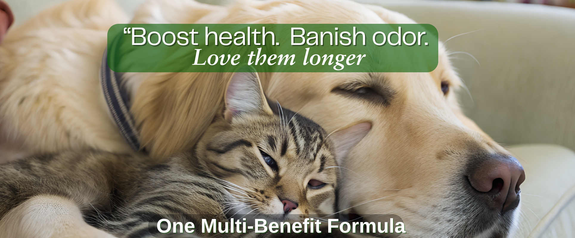 Boost dog and cat health. Banish Odor