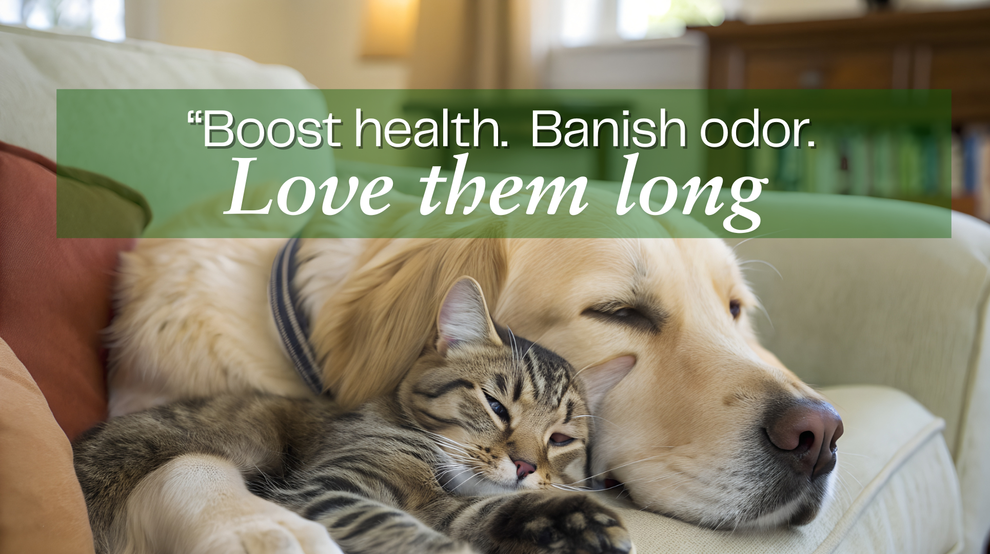 Boost health