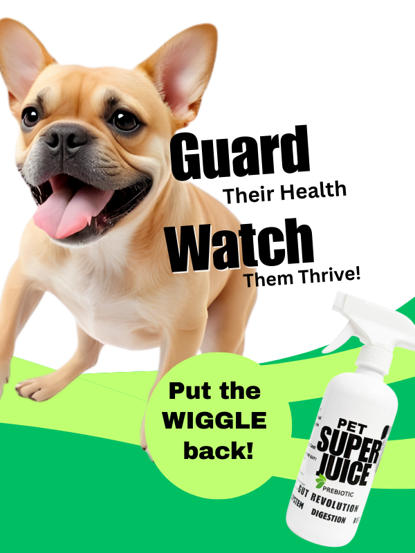 Copy of psj recolution collection banner