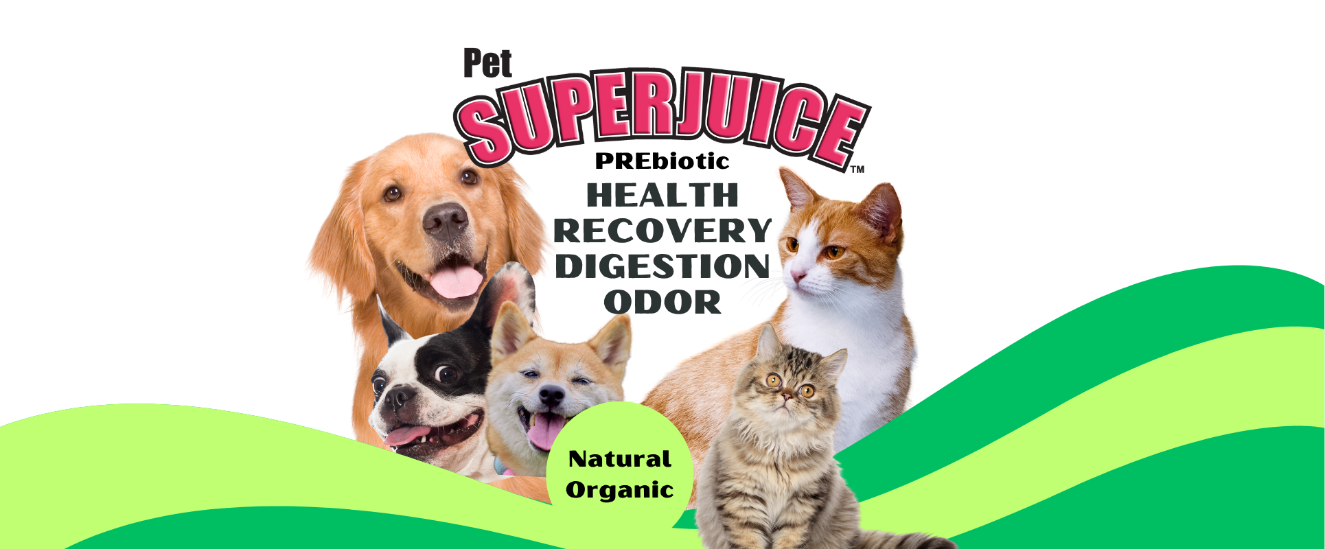 Default website collection image 21839f23 a37f 44eb a448 a3066a0444a3