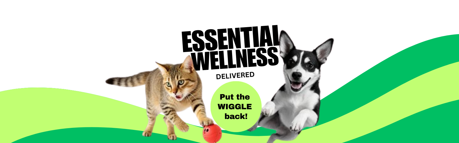 Pet SuperJuice Wellness Formula