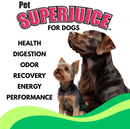 Pet SuperJuice for Dogs - Organic Prebiotic Spray | Gut Health & Odor Control-1