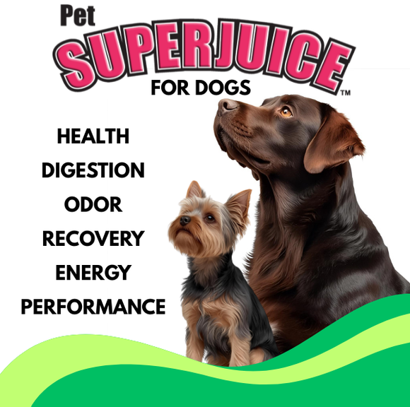 Pet SuperJuice for Dogs - Organic Prebiotic Spray | Gut Health & Odor Control