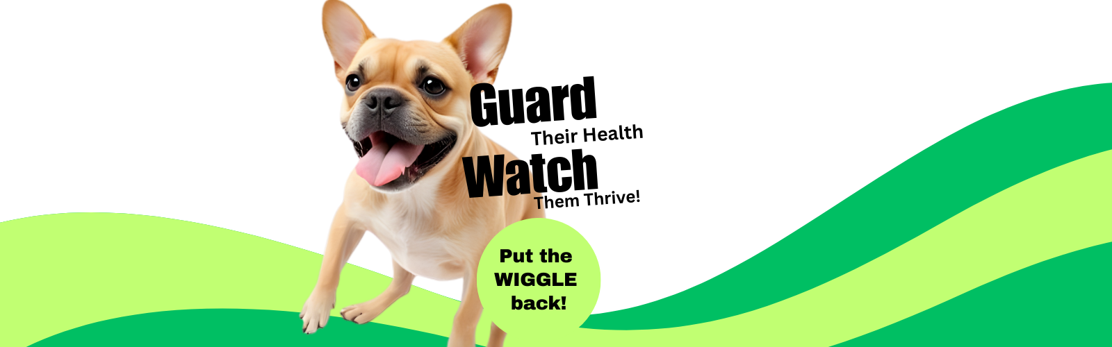 Psj recolution collection banner