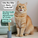 Pet SuperJuice for Cats - Organic Prebiotic Spray | Odor & Gut Health-2