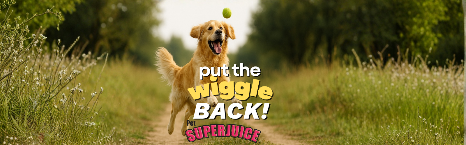 Pet SuperJuice PreBiotics for Pets
