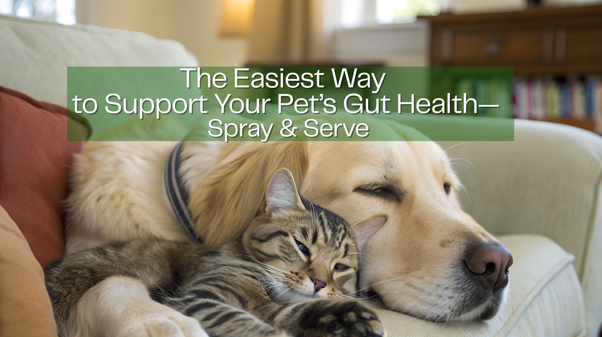 Website banner  digestive