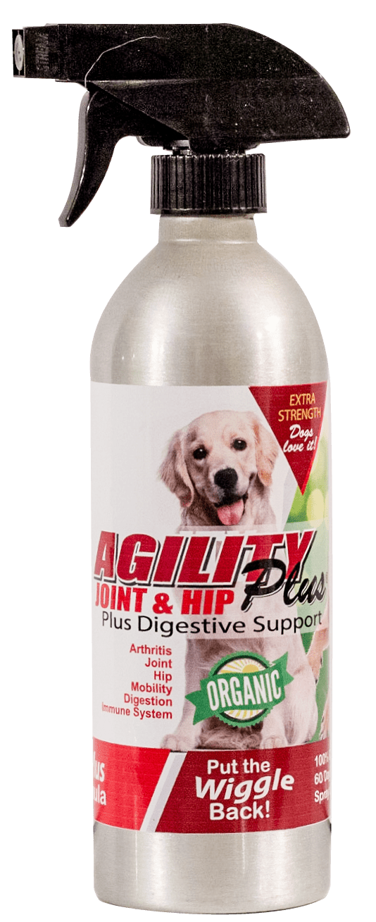 AgilityPlus Joint and Hip, Plus Digestive Support for Dogs 