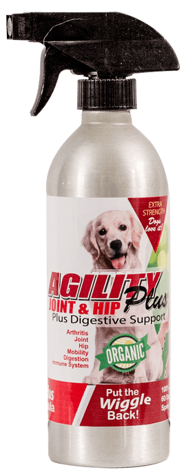 AgilityPlus Joint and Hip, Plus Digestive Support for Dogs 