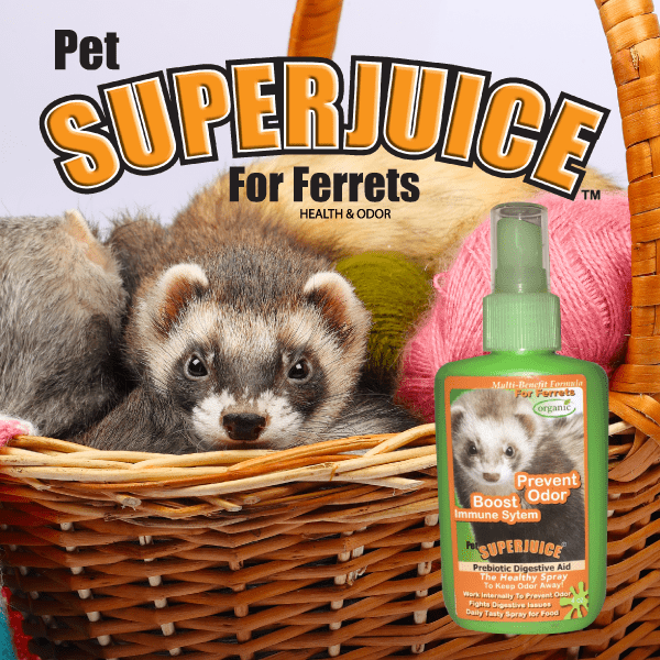 Pet SuperJuice For Ferrets
